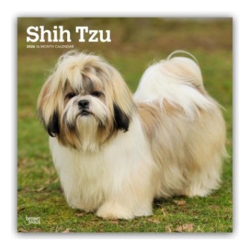 Browntrout Verlags GmbH Shih Tzu 2026 - 16-Monatskalender