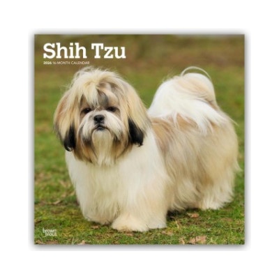 Browntrout Verlags GmbH Shih Tzu 2026 - 16-Monatskalender | BrownTrout Publishers Inc