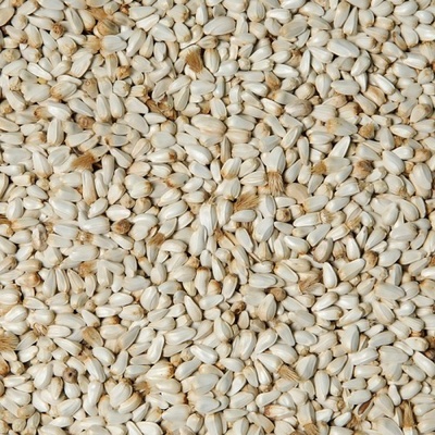 Fauna Hradil Světlice barvířská Kardy 5 kg