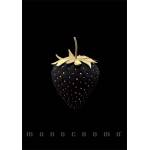 Pigna Тетрадка Pigna Monocromo Gold A4 с телбод за 38 листа P1111-1858 (P1111-1858)