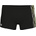 arena Stripes swim short 8