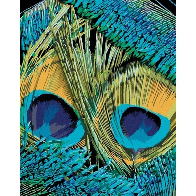 zuty Malování Podle Čísel Paví Pera Dennis Frates 40 x 50 Cm Plátno