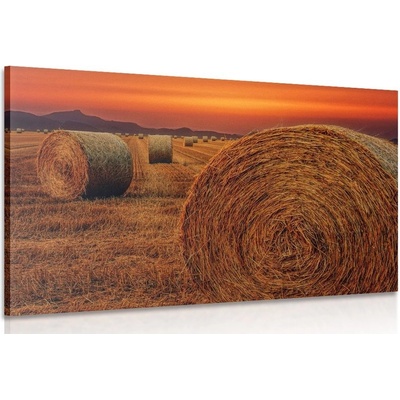 Obraz balíky sena - 120x80