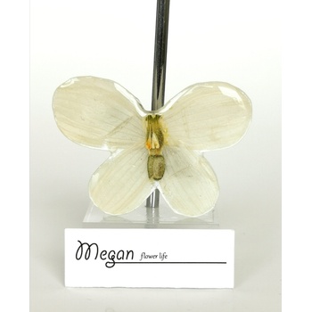 Meganflo Брошка - бяла пеперуда