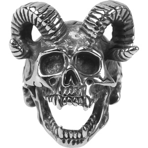 NNM пръстен Skull - SS8-406R