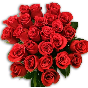 Kytica Červené ruže, 1 ruža, červená