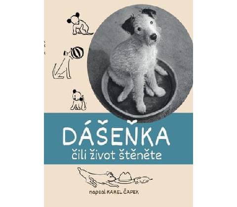 Dášeňka