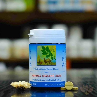 TCM Herbs Obnova spálené země 100 tablet