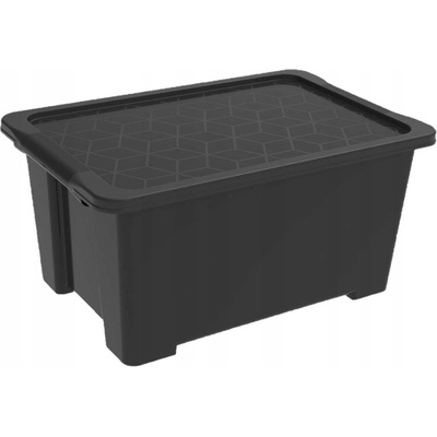 Rotho úložný box Evo Easy 44 L Black