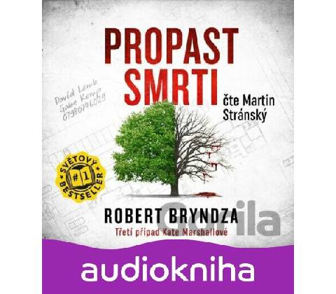 Propast smrti - 3 - Robert Bryndza
