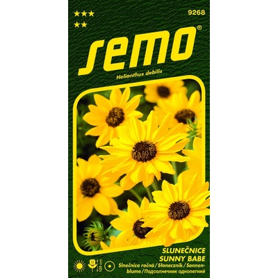 Semo Slnečnica slabá - Sunny Babe (Piccolo) 1,2 g - séria NEKTAR PÁRTY