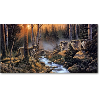 Foto obraz fotografie na skle svorka vlkov 100x50 cm
