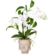 Gasper Umělá orchidej s bambusovým aranžmá v květináči Buddha, 60 cm, bílá