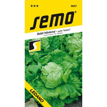 Semo Šalát ľadový - Ledan poľné 0,6g