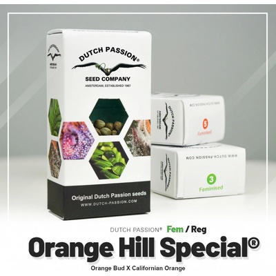 Dutch Passion Orange Hill Special semienka neobsahujú THC 3 ks