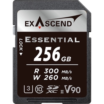 Exascend SDXC 256 GB 21693