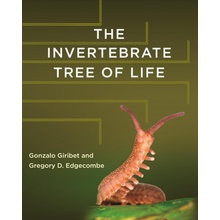Invertebrate Tree of Life