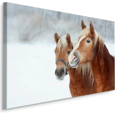 MyBestHome BOX Plátno Koně Ve Sněhu Varianta: 70x50