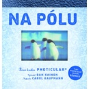 Na pólu