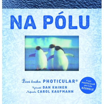 Na pólu