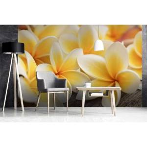 DIMEX ART Флизелинов фототапет плумерия 375 x 250 см