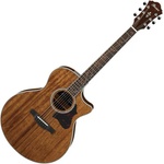 Ibanez AE245-NT