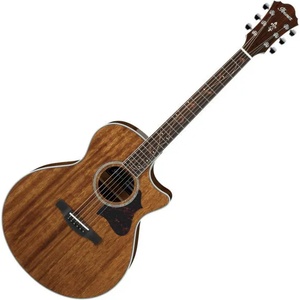 Ibanez AE245-NT