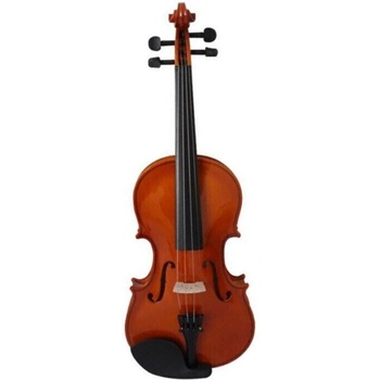 Pasadena SGV 015 4/4 Акустична цигулка (SGV-015G-4/4)