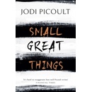 Small Great Things Picoult Jodi