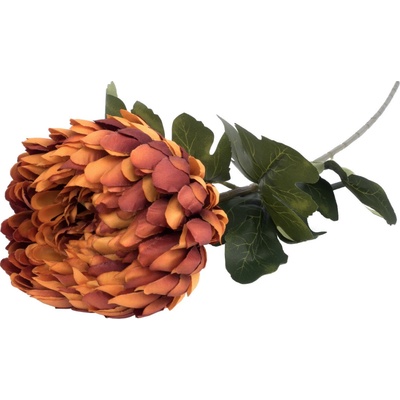 KS CHRYZANTÉMA KRÉM 75CM