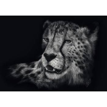 Schmidt Spiele - Puzzle Rader: Gepard - 1 000 piese