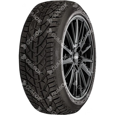 RIKEN SNOW 195/55 R16 87T
