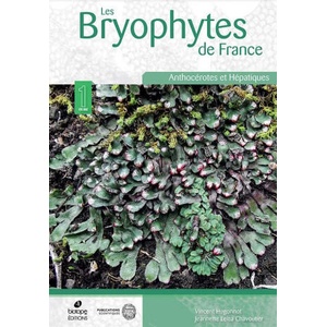 Les Bryophytes de France. Volume 1 : Anthocérotes et Hépatiques | HUGONNOT, CHAVOUTIER (ISBN: 9782856539385)