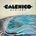 Algiers - Calexico CD