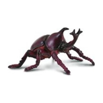 CollectA Żuk Rohatyniec nosorożec 004-88337