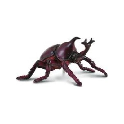 CollectA Żuk Rohatyniec nosorożec 004-88337