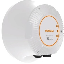 Mimosa 100-00074