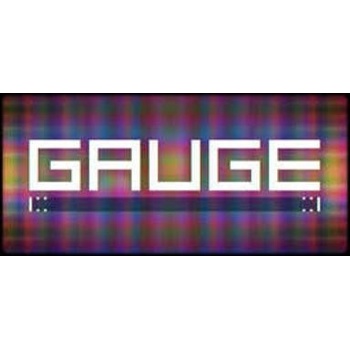 Gauge