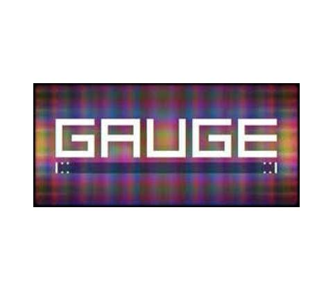 Gauge
