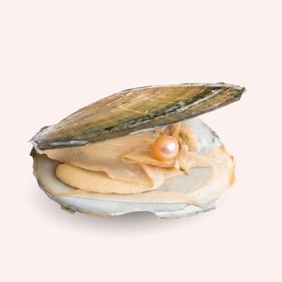 Pan Perla Mušle s pravou perlou 44 – Zbozi.Blesk.cz