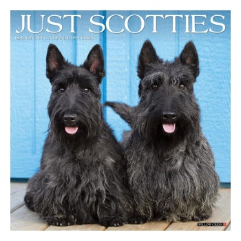 Willow Creek Press Calendars Scotties 2026 12 X 12 Wall Calendar