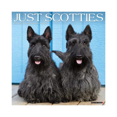 Willow Creek Press Calendars Scotties 2026 12 X 12 Wall Calendar | Willow Creek Press