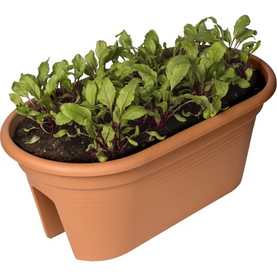 Elho Truhlík Green Basics Flower Bridge 55 cm hnědý