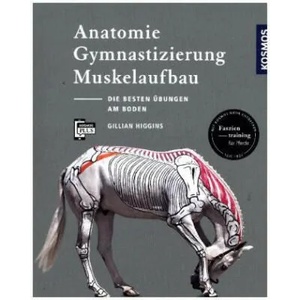 Anatomie, Gymnastizierung, Muskelaufbau | Gillian Higgins (2017)