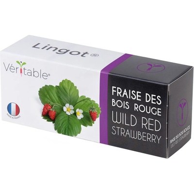 veritable Семена Червени диви Ягоди VERITABLE Lingot® Wild Red Strawberry (VLIN-P5-Fra029)