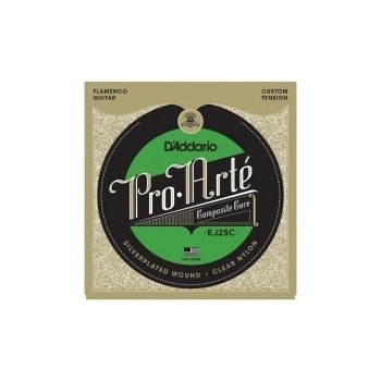 D'ADDARIO EJ25C