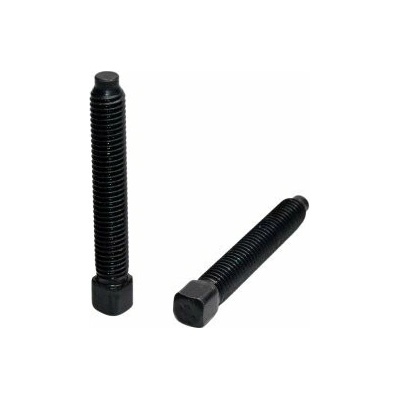 Šroub čtyřhranný upínací s osazeným koncem, DIN 479 -8.8 bez úpravy M14 x 60, balení 1 ks