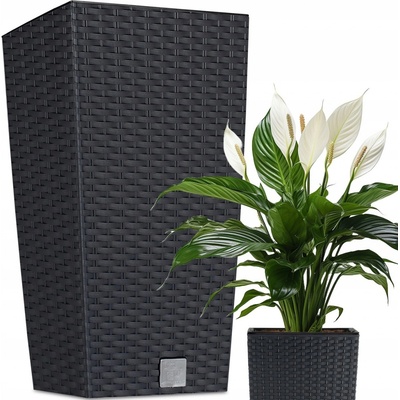 Prosperplast Rato square 32,5 x 32,5 x 61 cm – Zboží Dáma