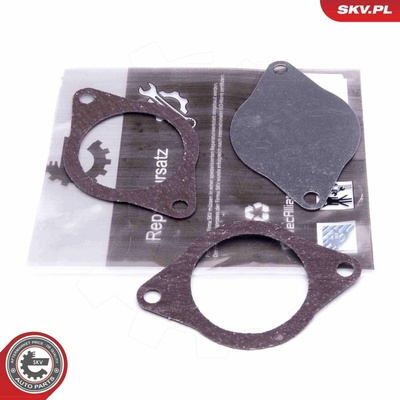 Súprava na opravu, ventil AGR ESEN SKV 14SKV574 14SKV574
