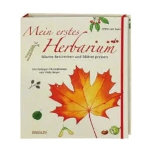 Mein erstes Herbarium - Bäume bestimmen und Blätter pressen | Anita van Saan, Viola Beyer (ISBN: 9783401452562)
